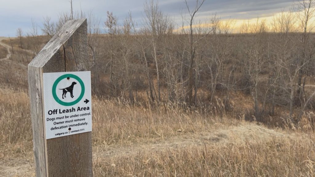 Frustrations over dog poop being left at Calgary’s Nose Hill Park