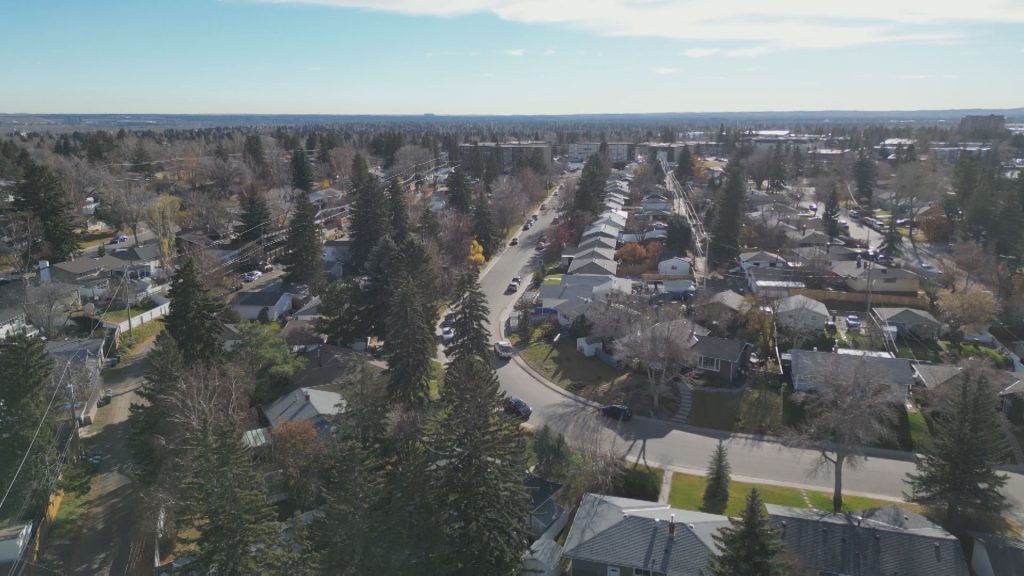 Calgary to plant nearly 1 million trees after funding boost from feds