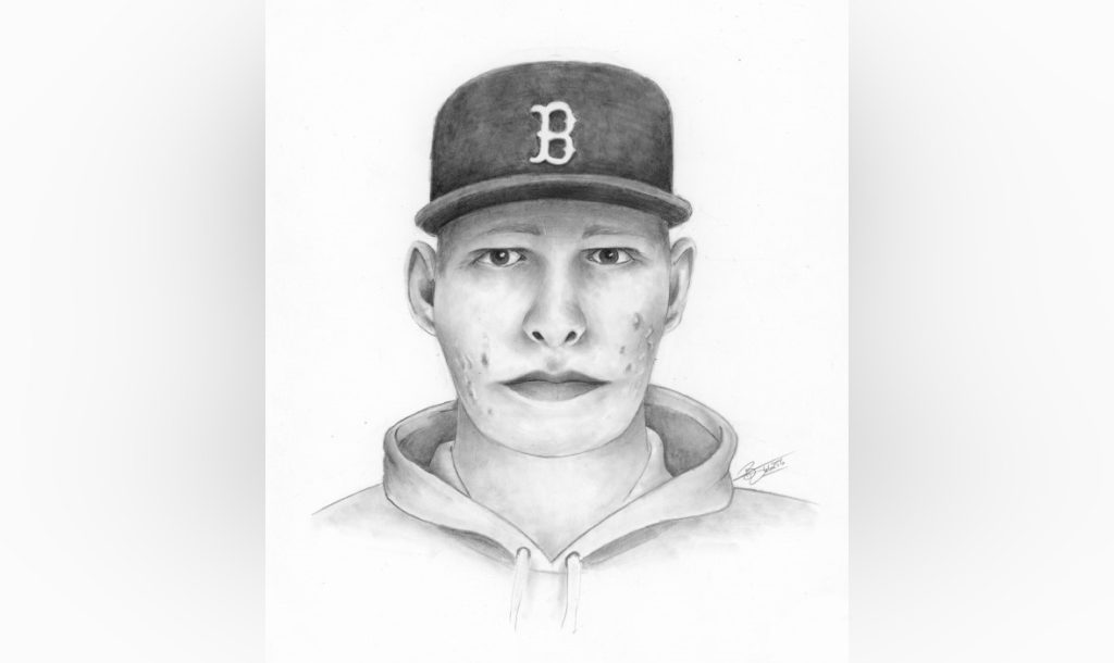 Central Alberta RCMP searching for suspect in rural highway sexual assault