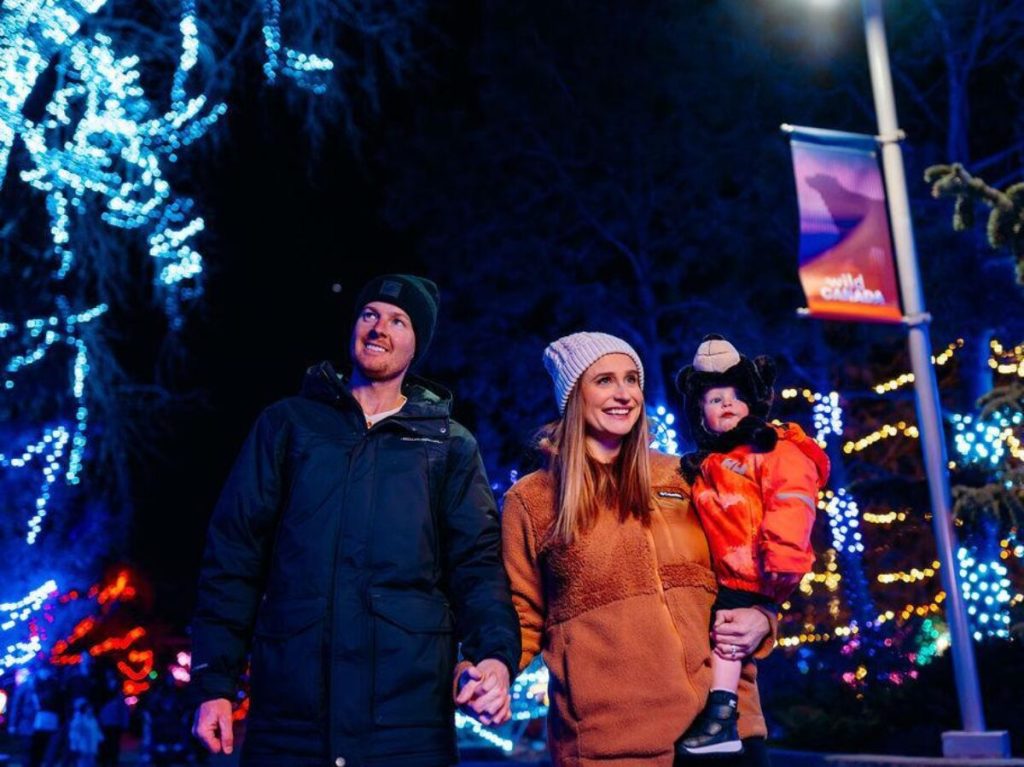 Calgary Zoo Lights return for 28th season