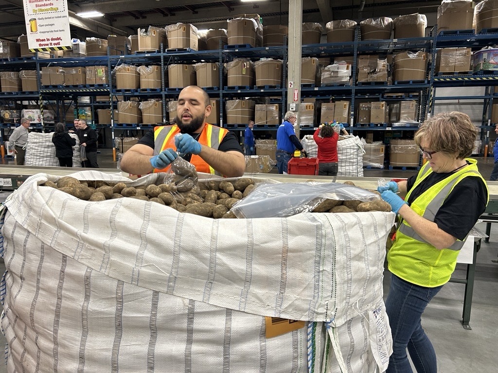 Coun. Terry Wong packs potatoes at the Calgary Food Bank during the Councillors' Challenge on Wednesday, Nov. 27, 2024. (Phoenix Phillips, CityNews image)