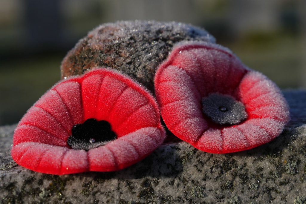 The Royal Canadian Legion turns to Amazon for annual poppy campaign boost