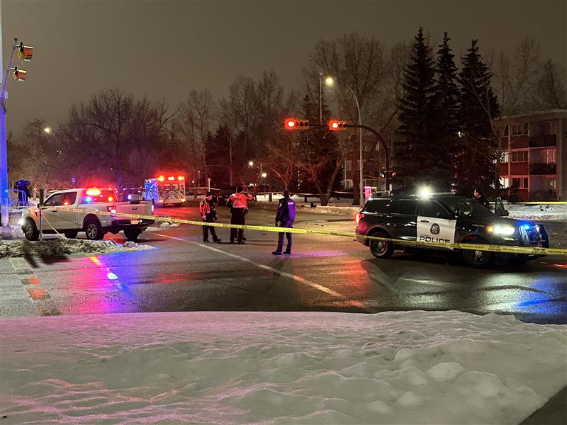 Man in 70s dead after SE Calgary crash