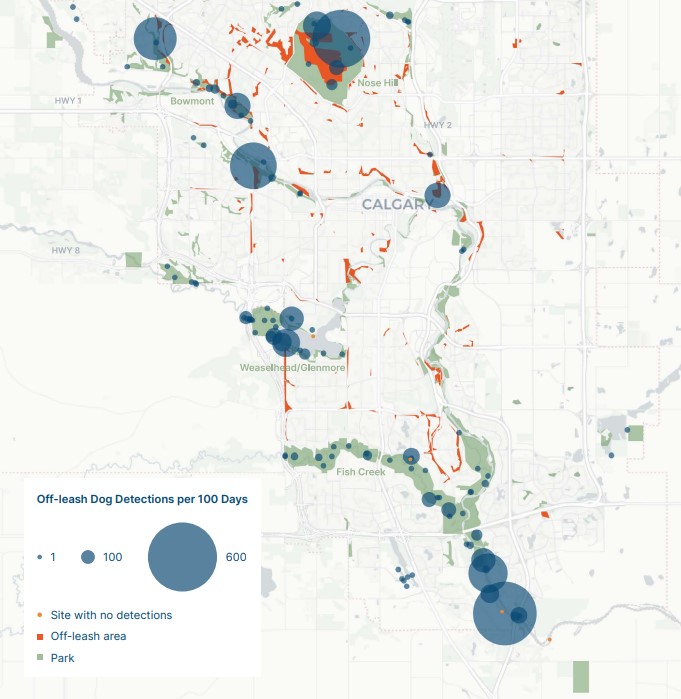 A map of off-leash dogs in Calgary from a Miistakis Institute report on wildlife detection at parks in the city. Over 200,000 animal detections were made from 128 cameras installed over five years, from 2017 to 2022, for the study