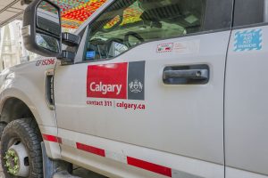 Large dog killed woman’s cat in SE Calgary after forcing its way into home