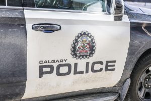 Calgary police looking for driver involved in NE hit-and-run