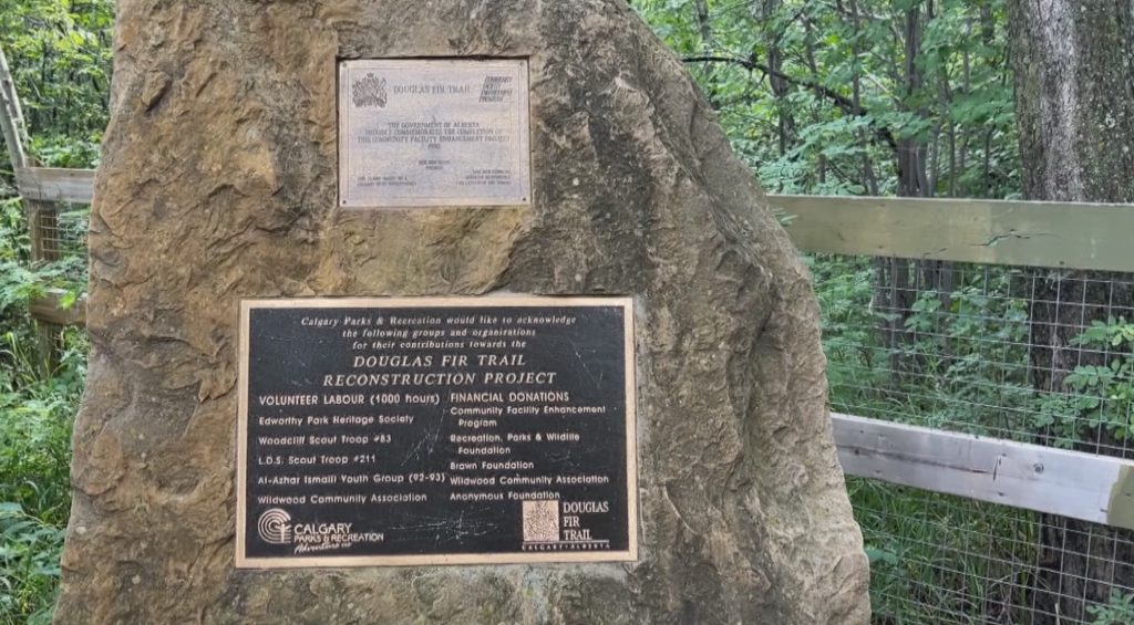 A photo of a commemorative plaque on the Douglas Fir Trail Reconstruction Project in 1994 taken on Sunday, Aug. 3, 2025. Volunteers came out again to help with repairs in 2017, though the city isn't requesting any at this time