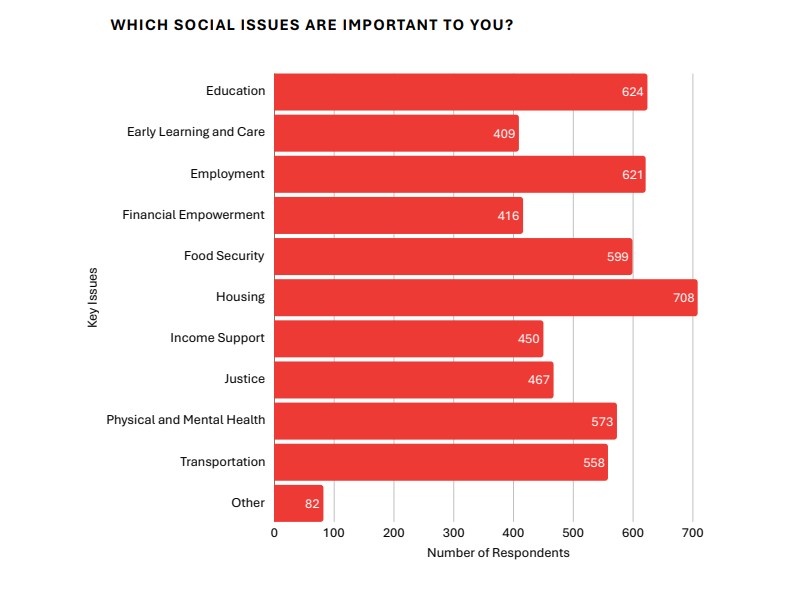 A screenshot of the respondent data from the Vibrant Communities Calgary report on top issues for its respondents