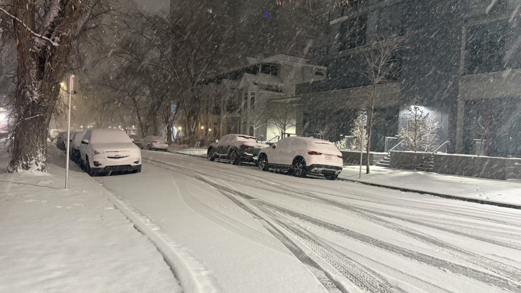 Snow falls in Calgary on Monday, Nov. 24, 2025. (Lauryn Heintz, CityNews image)