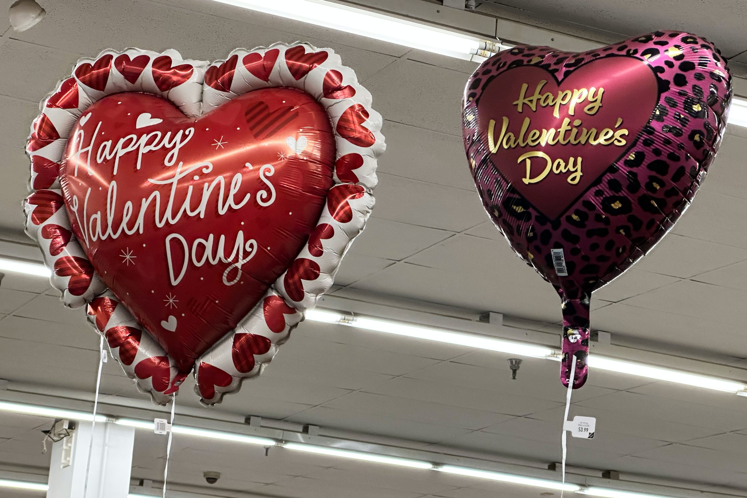 Nearly half of Canadian singles believe it’s not financially worth it to date: poll