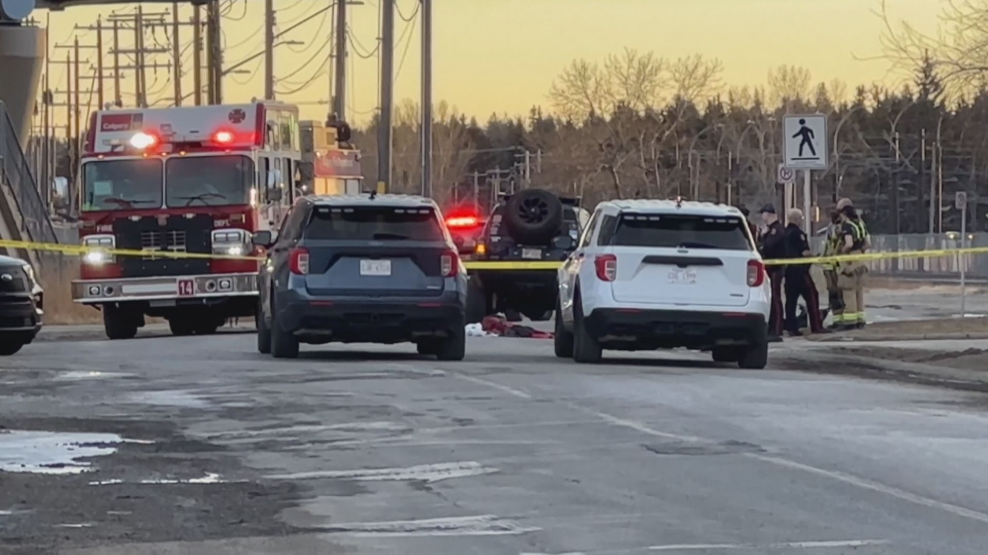 Calgary city council calls for road safety following recent pedestrian deaths
