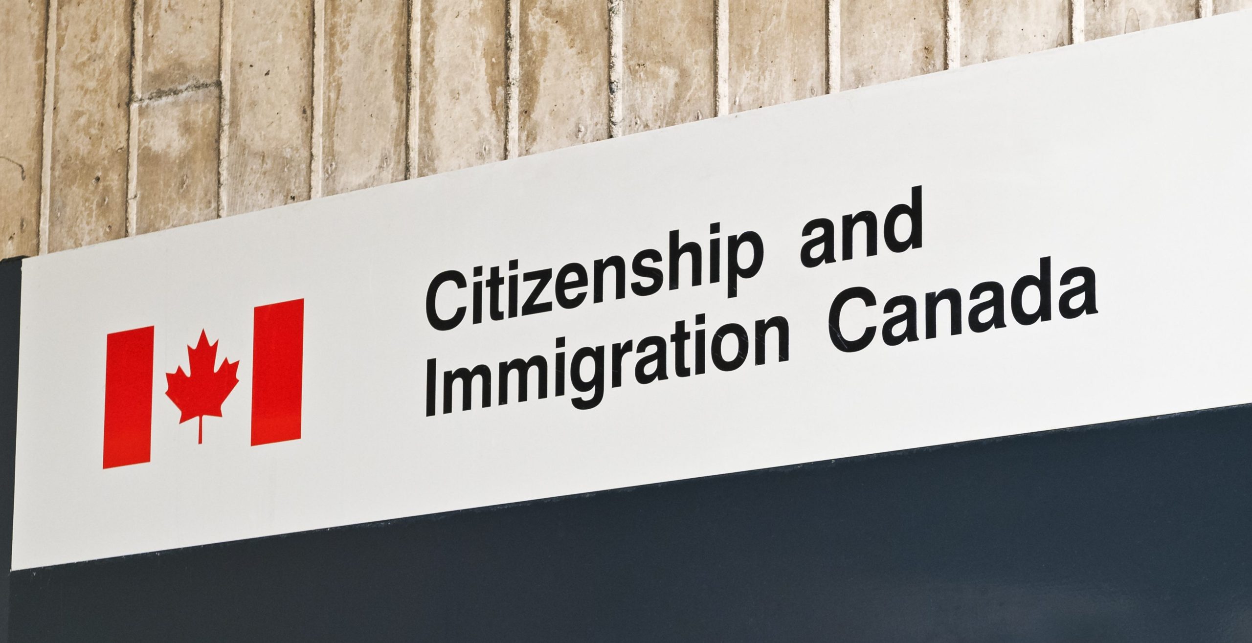 Study shows wealth gap between recent immigrant and Canadian-born families; established immigrants thriving