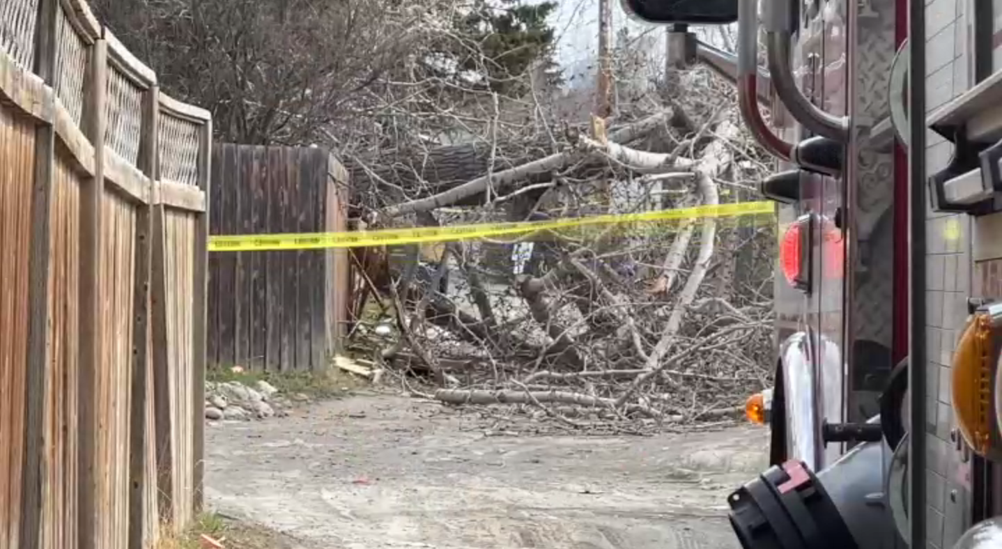 Calgary wind wreaks havoc: Power outages, traffic lights flashing red ...