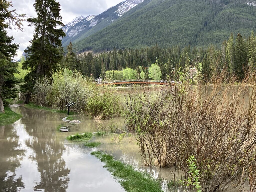 A trail path along the northern shore of the Bow River, flooded by the river's widening flow is shown in this handout photo in Banff, Alta., on Friday, May 29, 2026
