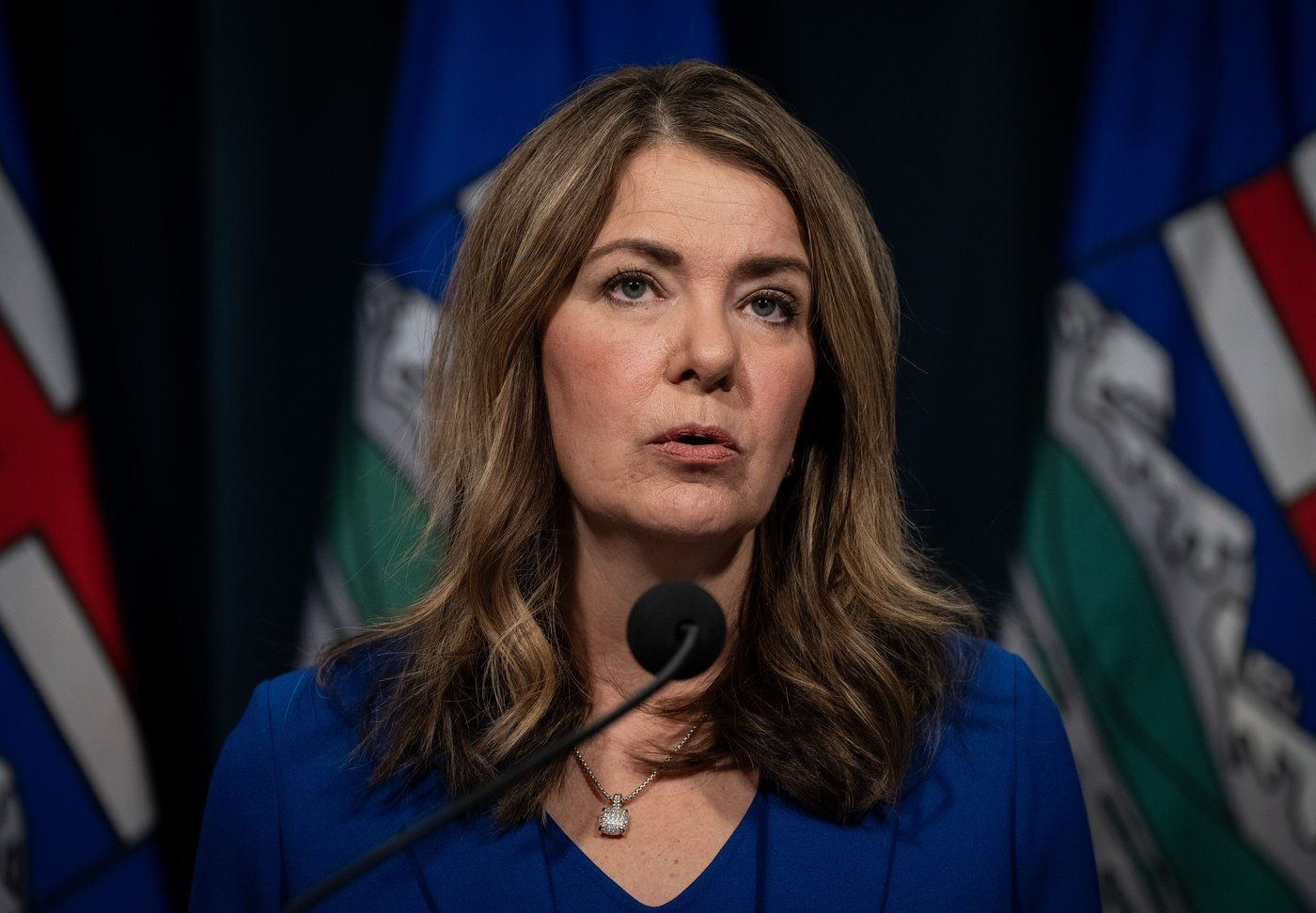 Alberta private-pay medical testing might create new barriers for newcomers, researchers warn
