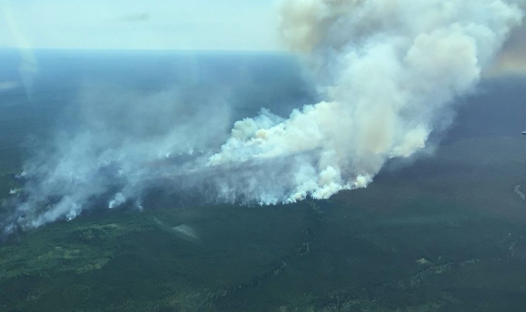 Fire ban in place for entire Forest Protection Area in Alberta