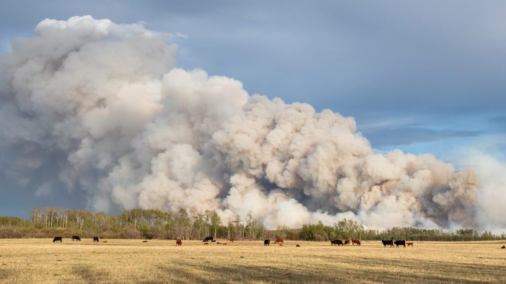 County of Grande Prairie wildfire evacuation order remains in effect