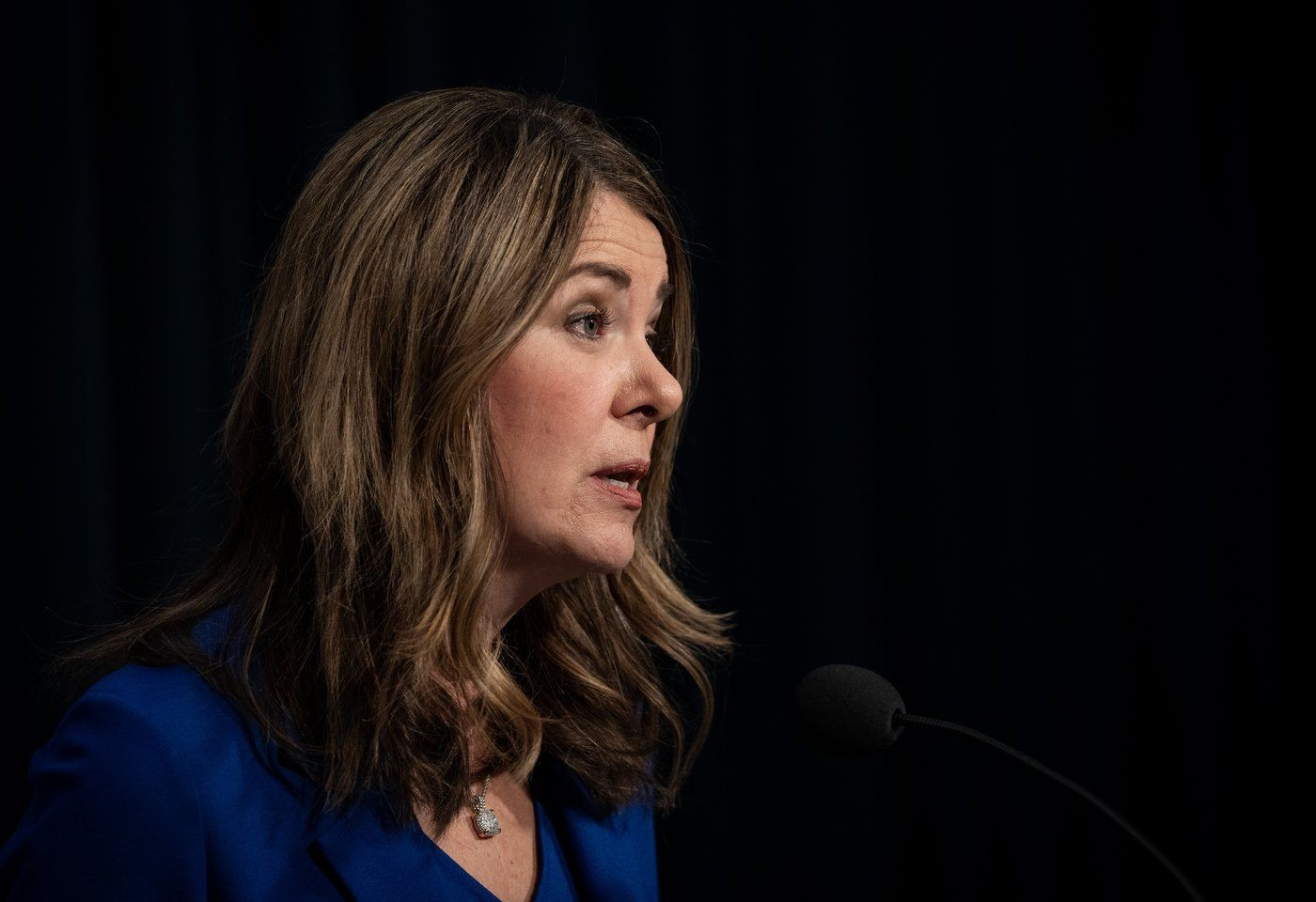 Danielle Smith says diverse opinions welcome after Alberta MLA supports separatist petition